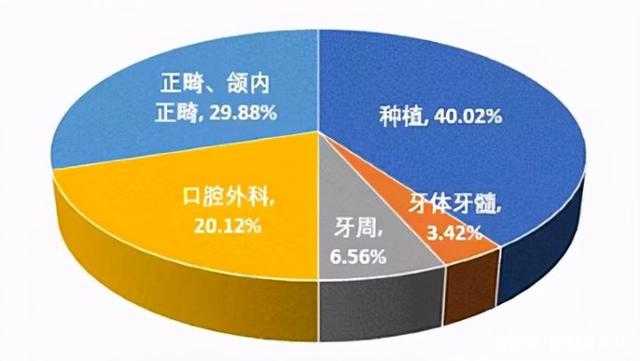 口腔醫療結構 口腔醫療結構
